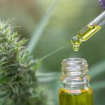 CBD-Öl: So verwendest du Cannabidiol für besseren Sex